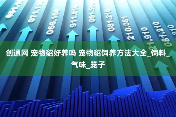 创通网 宠物貂好养吗 宠物貂饲养方法大全_饲料_气味_笼子