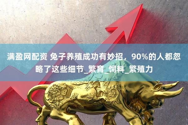 满盈网配资 兔子养殖成功有妙招，90%的人都忽略了这些细节_繁育_饲料_繁殖力