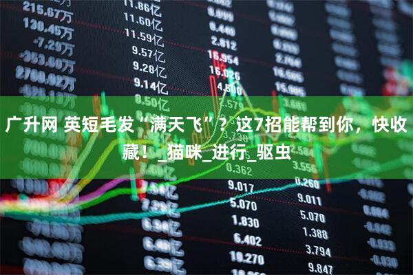 广升网 英短毛发“满天飞”？这7招能帮到你，快收藏！_猫咪_进行_驱虫