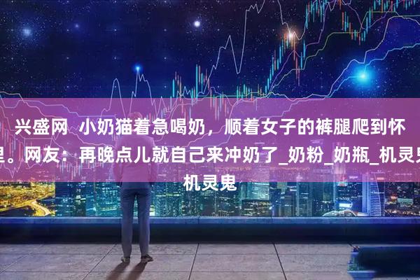 兴盛网  小奶猫着急喝奶，顺着女子的裤腿爬到怀里。网友：再晚点儿就自己来冲奶了_奶粉_奶瓶_机灵鬼