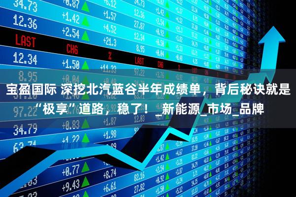 宝盈国际 深挖北汽蓝谷半年成绩单，背后秘诀就是“极享”道路，稳了！_新能源_市场_品牌