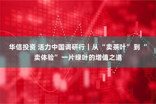 华信投资 活力中国调研行｜从 “卖茶叶” 到 “卖体验” 一片绿叶的增值之道