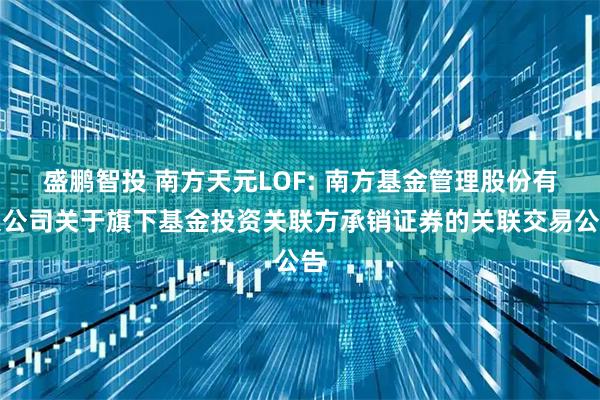 盛鹏智投 南方天元LOF: 南方基金管理股份有限公司关于旗下基金投资关联方承销证券的关联交易公告