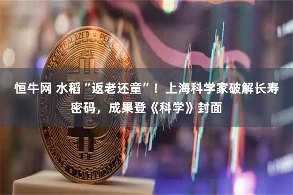 恒牛网 水稻“返老还童”!上海科学家破解长寿密码,成果登《科学》封面