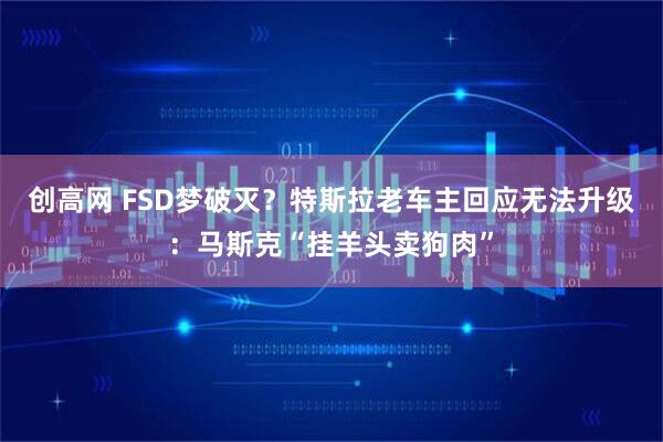 创高网 FSD梦破灭？特斯拉老车主回应无法升级：马斯克“挂羊头卖狗肉”