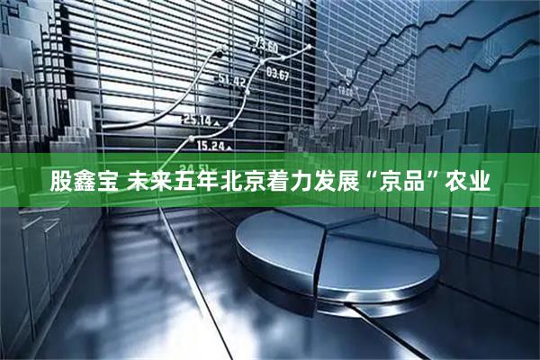 股鑫宝 未来五年北京着力发展“京品”农业